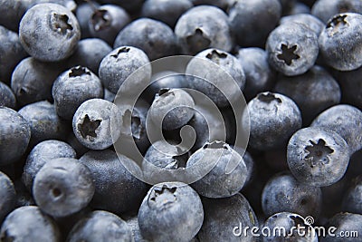 Full frame image of blueberries Stock Photo