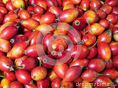 Full frame image of the fruit of the ethiopian eggplant Solanum aethiopicumalso know as nakati for sale on a market stall Stock Photo