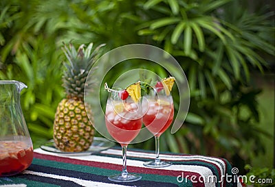 Full Frame image of two Glasses of Sangria on a Multicolored Cloth with Lady Palms in the Background. Stock Photo
