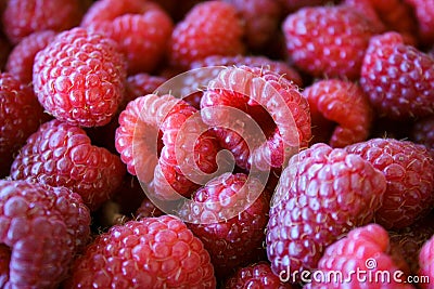 Full frame of raspberries. Pink raspberries. Macro. Close up Stock Photo