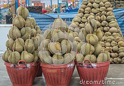 Durain the king of fruits in thailand market. Stock Photo