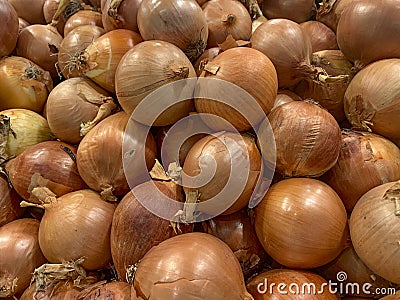 Full frame shot of onions Stock Photo
