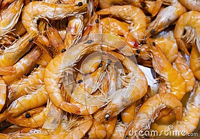 Full frame of Shrimp - seafood. Stock Photo