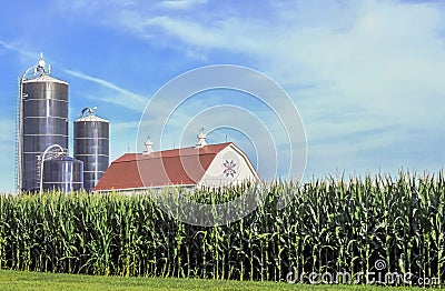 Full Grown Corn by Quilt Barn and Blue Silos Editorial Stock Photo