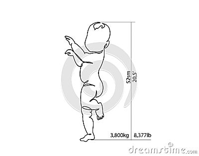 Full-growth baby for height and weight measurement Vector Illustration