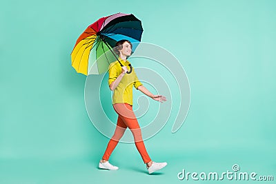 Full length body size view of attractive cheerful girl holding parasol going isolated on bright blue color background Stock Photo