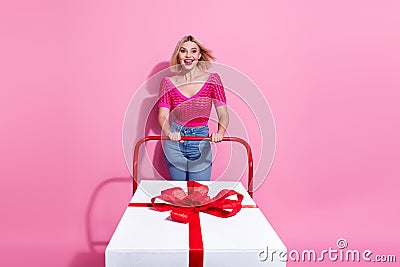 Full length photo of overjoyed woman fluttering hair hold shopping cart with large present astonished staring isolated Stock Photo