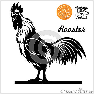 Full-length Rooster - Cock - side view - isolated on white Vector Illustration