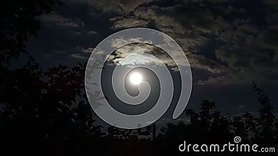 Full moon. Bright moon, clouds of bizarre shapes, crowns of trees. Night. Stock Photo