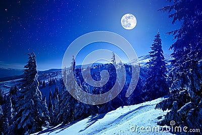 Full moon over winter deep forest covered with snow on winter night Stock Photo