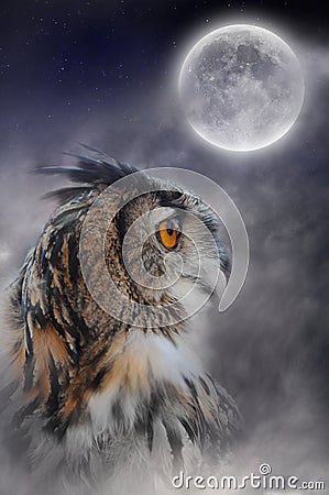 Full moon and owl Stock Photo