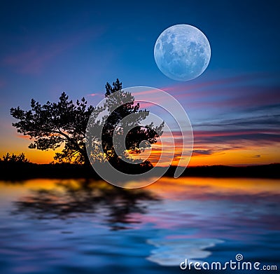 Full moon rising over the lake and tree silhouette Stock Photo