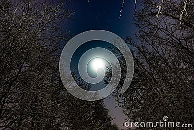 Full moon and starry sky in the night snowy forest Stock Photo