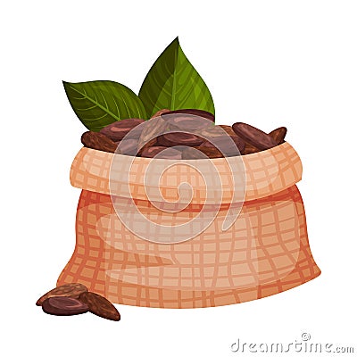 Full Sack of Shelled Cocoa Beans Vector Illustration Vector Illustration