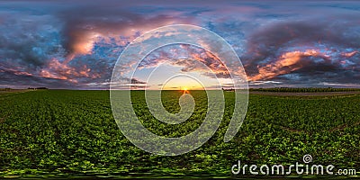 Full seamless spherical hdri panorama 360 degrees angle view among fields in summer evening sunset with awesome blue pink red Stock Photo