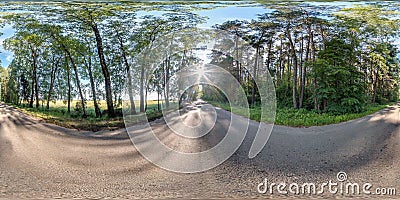 Full seamless spherical hdri panorama 360 degrees angle view on no traffic asphalt road among tree alley in summer day in Stock Photo