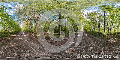 Full seamless spherical hdri panorama 360 degrees angle view on no traffic gravel road among tree alley in summer day in Stock Photo