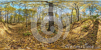 Full seamless spherical hdri 360 panorama in tree-covered ravine in autumn forest in sunny day in equirectangular spherical Stock Photo