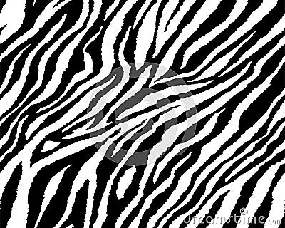 Full seamless wallpaper for zebra and tiger stripes animal skin pattern. Black and white design for textile fabric printing. Stock Photo