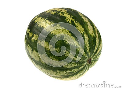 Full single striped green watermelon. Stock Photo