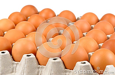 Full tray of freshly laid free range organic eggs Stock Photo