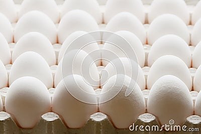 Full tray of white eggs Stock Photo