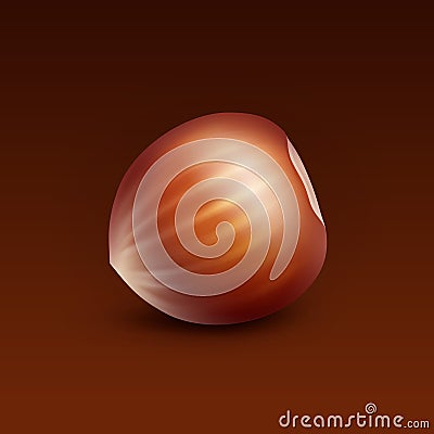 Full Unpeeled Hazelnut on Brown Background Vector Illustration