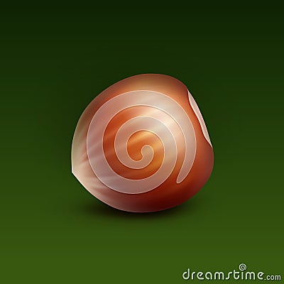 Full Unpeeled Hazelnut on Green Background Vector Illustration