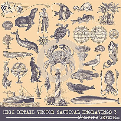 Full Vector Collection of Original Nautical Engravings Set 3 Vector Illustration