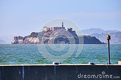 Full view Alcatraz Island with choppy bay waters and wall with two resting seagulls Stock Photo