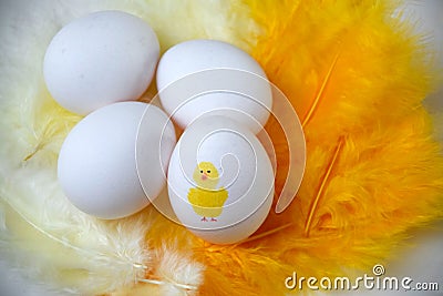 Fun eggs placed on yellow feathers for Easter breakfast Stock Photo