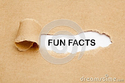 Fun Facts Torn Paper Concept Stock Photo