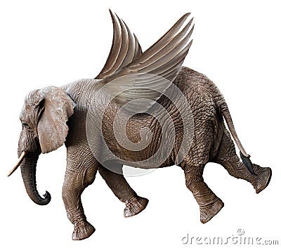 Fun Flying Elephant with Wings Isolated Stock Photo