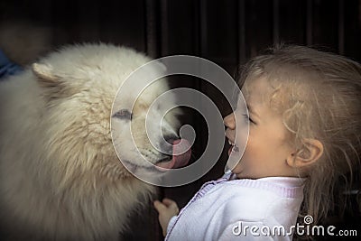 Fun kid child kind puppy dog domestic animal care concept animal love care friendship kindness Stock Photo