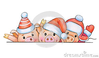 Fun pig cartoons in Christmas hats. Stock Photo