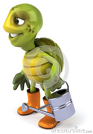 Fun turtle Stock Photo