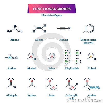 Functional groups vector illustration. Chemical reactions explanation list. Vector Illustration