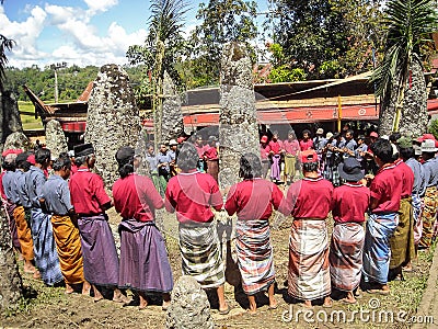 Funeral ceremony, tanah toraja, sulawesi Editorial Stock Photo