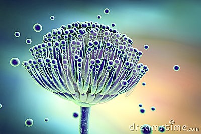 Fungi Aspergillus, 3D illustration Cartoon Illustration