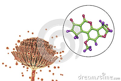 Aflatoxin B1 molecule, a toxin produced by fungi Aspergillus Cartoon Illustration