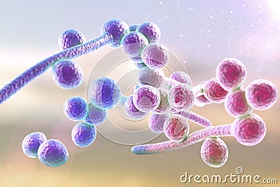 Fungi Candida albicans which cause thrush Cartoon Illustration