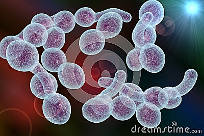 Fungi Candida albicans which cause thrush Cartoon Illustration