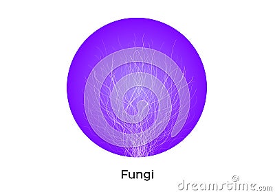 Fungi icon vector on white background Vector Illustration