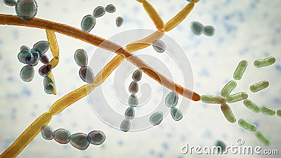 Fungus Trichosporon, 3D illustration Cartoon Illustration