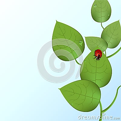 Funky ladybug Vector Illustration