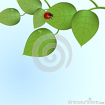 Funky ladybug Vector Illustration