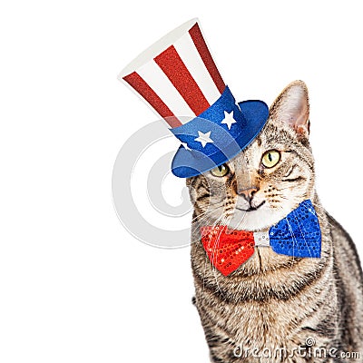 Funny American Patriotic Cat Stock Photo