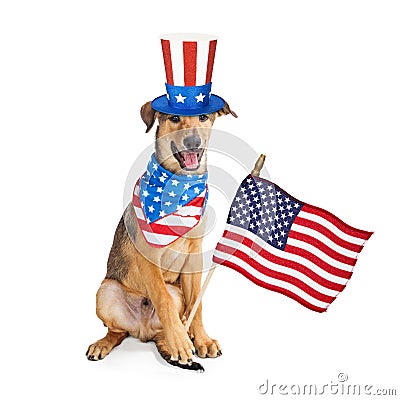 Funny American Patriotic Dog With Flag Stock Photo