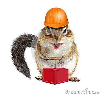 Funny animal chipmunk with detonator and hard hat, demolition co Stock Photo