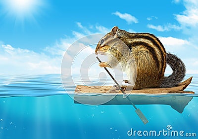 Funny animal, chipmunk floating at ocean, travel concept Stock Photo